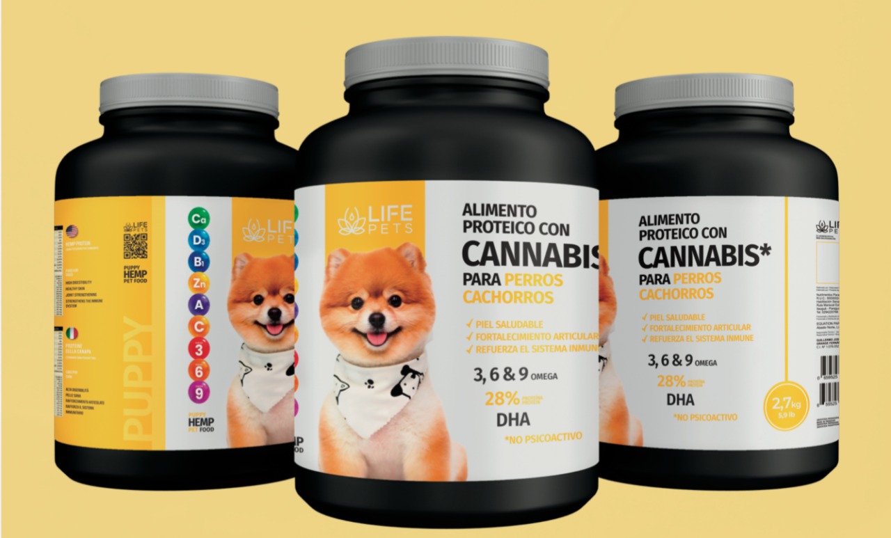 CBD y mascotas… ¿Es posible combinar?