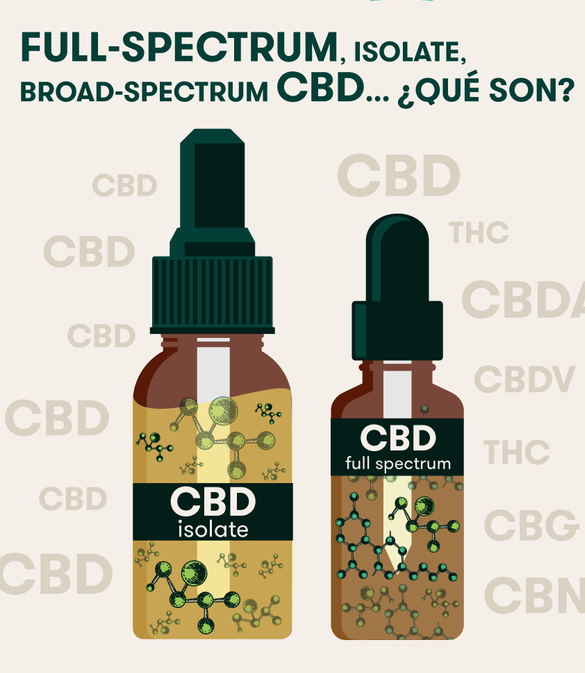 CBD Full Spectrum vs. CBD Aislado vs. CBD broad spectrum