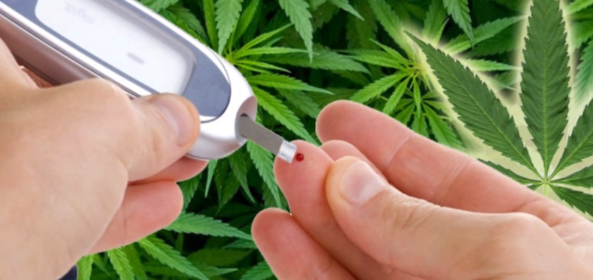 Diabetes y CBD ¿Una buena idea?